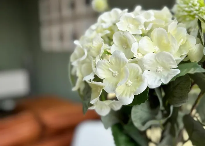 Stadtoase Gothestrasse Апартаменты Мерзебург